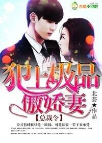 总裁令 犯上极品傲娇妻